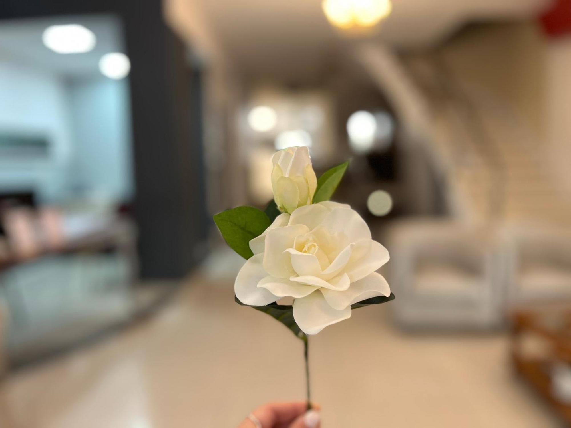 Alpino Hotel Buenos Aires Eksteriør bilde